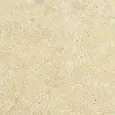 Sunny Menia Limestone 