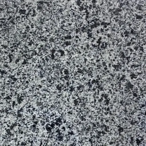  New Halayab Granite